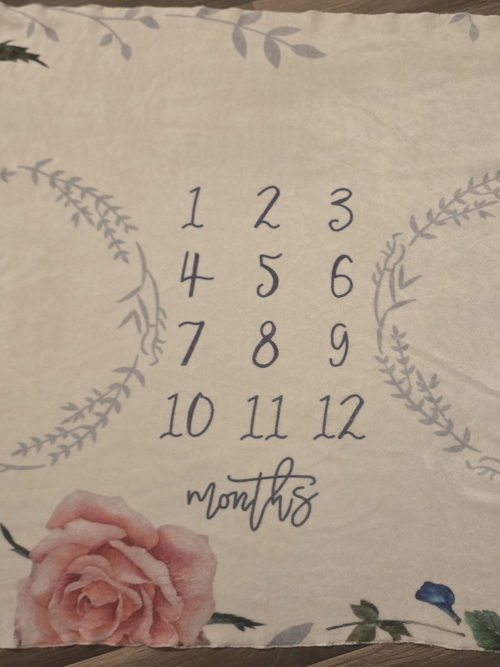 Monthly Milestone Photo Prop Blanket For Twins